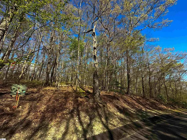 376 Sourwood Ln, Cleveland, SC 29635