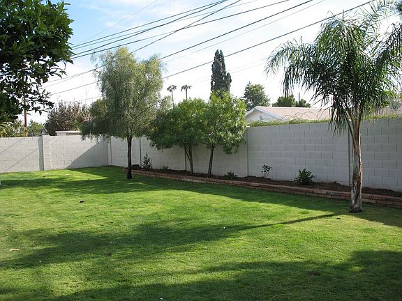 Lush backyard