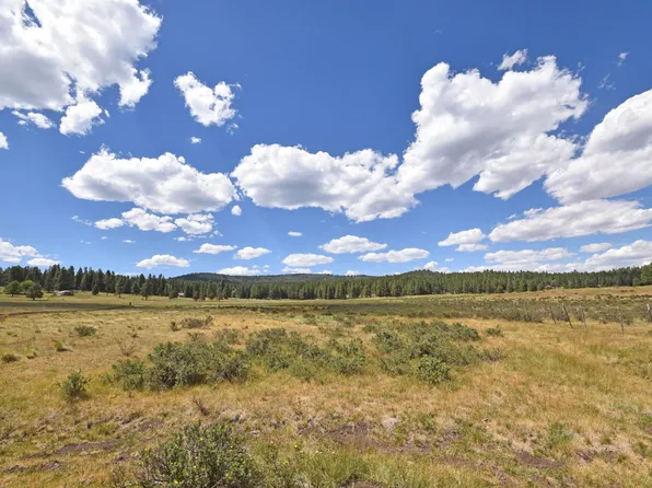 TRACT 4&a Wetherill Cabin Sites, Coyote, NM 87017