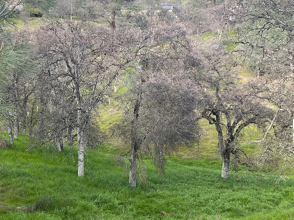 1st image of 9424 Banderilla Dr