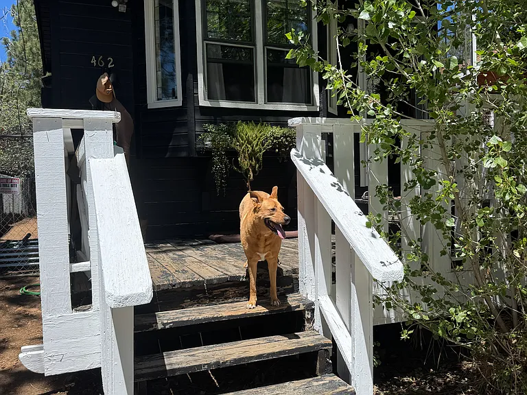 462 Imperial Ave — Photo 29