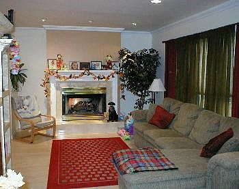5th image of 264 Sussex St