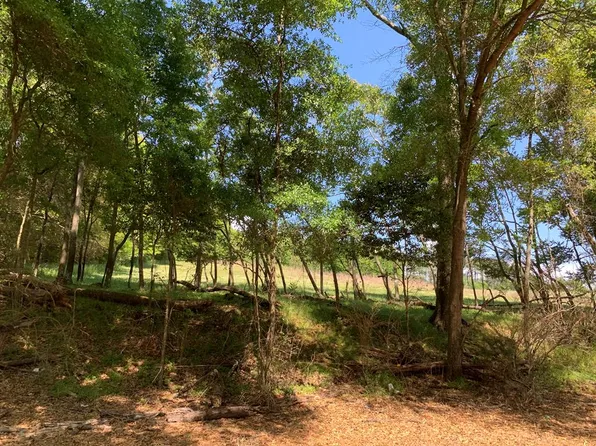 1 County Road 3319, Troy, AL 36079