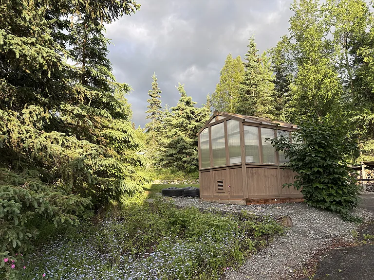 9988 Main Tree Dr — Photo 24