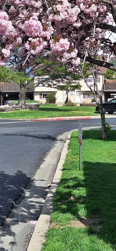 Room For Rent In Spacious West Valley City Condo — Photo 2