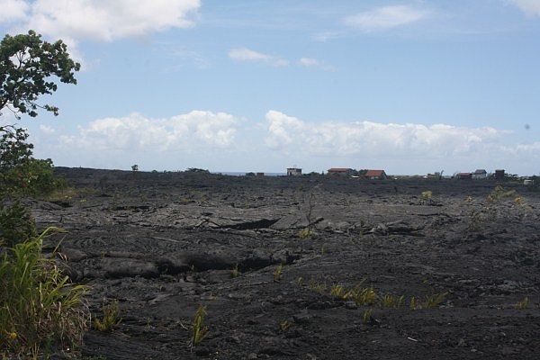 1st image of LOT 12-5376 631