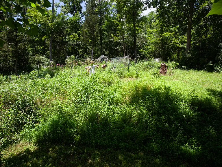 2766 Yeager Rd — Photo 30