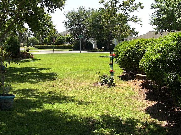 Bush Fence West Side