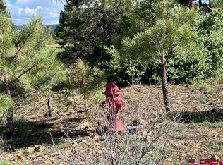 331 Travelers Cir, Pagosa Springs, CO 81147