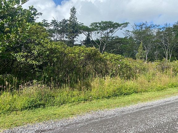 3rd image of 3rd Ave Lot 1379