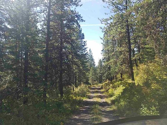 3rd image of 12022 S Alpine Fern Ln