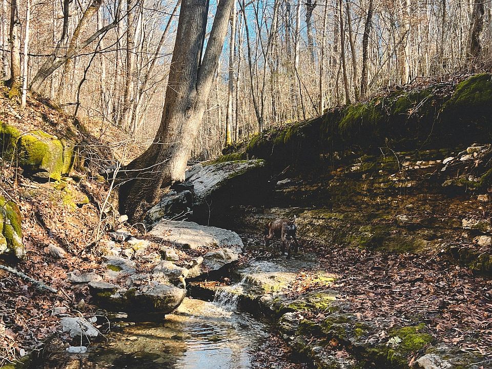 10th image of 0 Hollis Creek Rd S