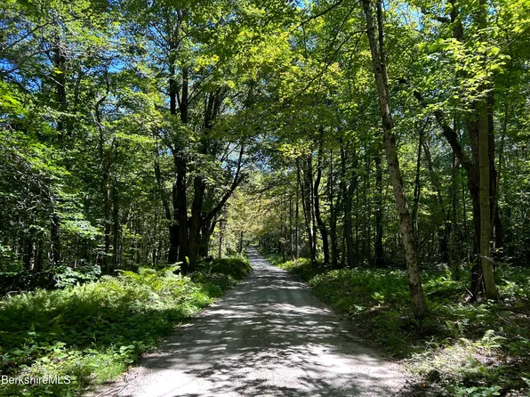 0 Webster Road, Tyringham, MA 01264
