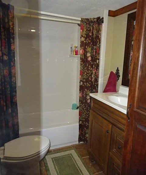 1117 Bledsoe Dr — Photo 4