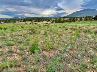 175 & 183 Ouray Rd, South Fork, CO 81154