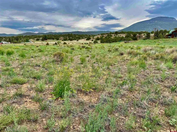 175 & 183 Ouray Road, South Fork, CO 81154