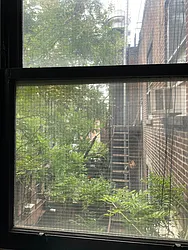 Rented by Weichert Properties - NYC