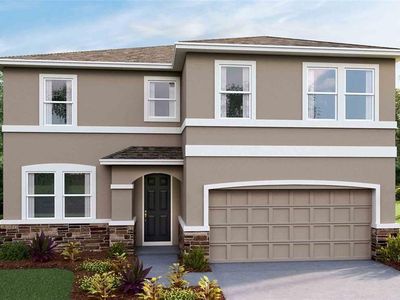 10597 Farm Hill Ave, Land O Lakes, FL, 34638