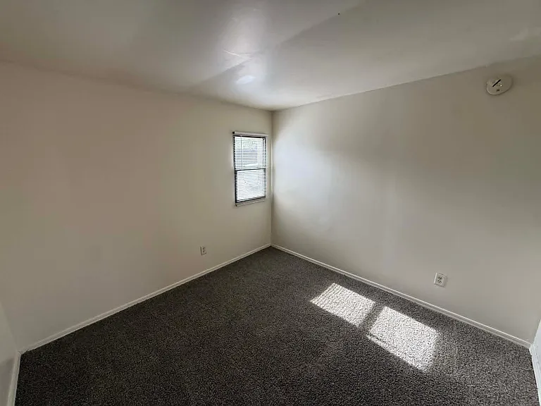 1137 E Adelaide Dr #2 — Photo 14