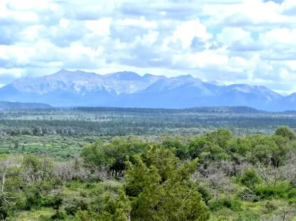 10 N Reserve Dr Lot 10, Norwood, CO 81423