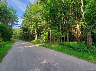 Johnson Rd #4, East Concord, NY 14055