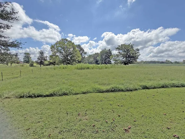 2900 Oak Grove Rd, Savannah, TN 38372