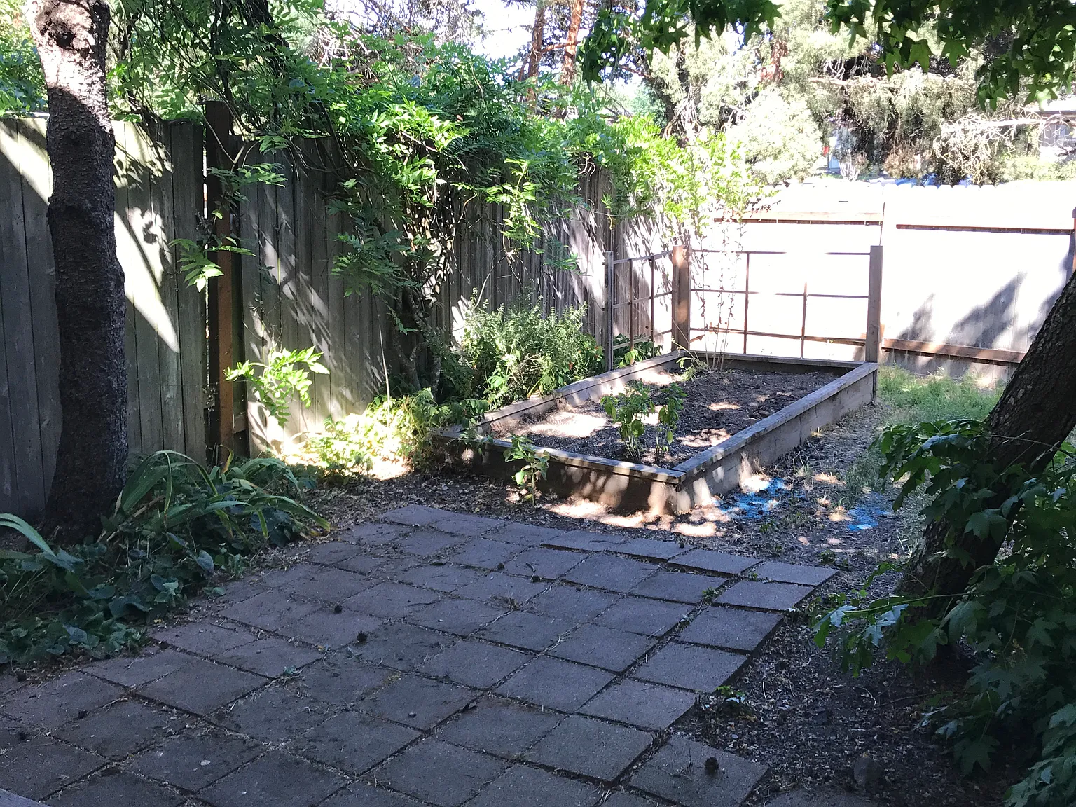 2 bed, 1.5 bath, 1250 sqft, $1,975 — Photo 3