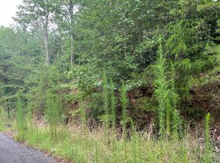8 The Preserve, Brasstown, NC 28902