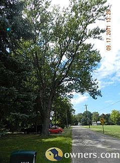 View Down The Street