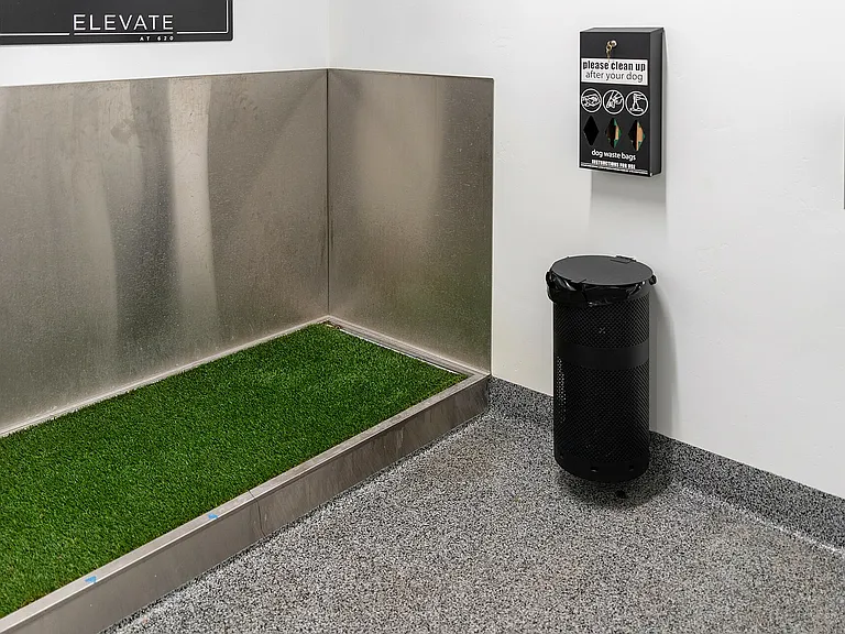 Indoor Dog Station