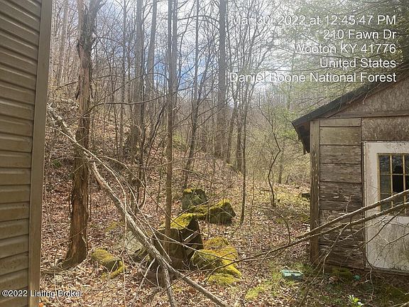 2nd image of 233 Fawn Dr