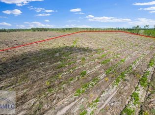 TRACT 3 Morris Break Rd, Odum, GA 31555