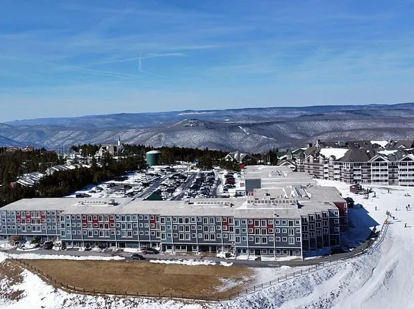 390 Mountain Ldg, Snowshoe, WV 26209