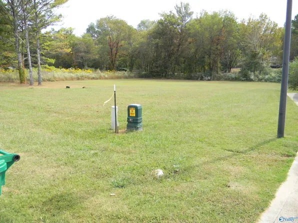 LOT 5 Cade Cir, Leesburg, AL 35983