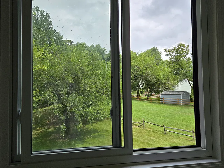 Bedroom #2 window