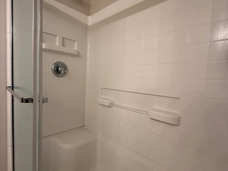 Walk-in shower.