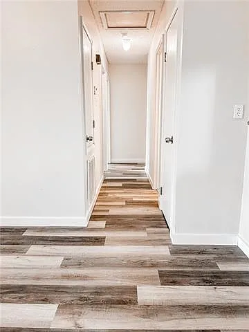 2704 Sieglinde Ct — Photo 13