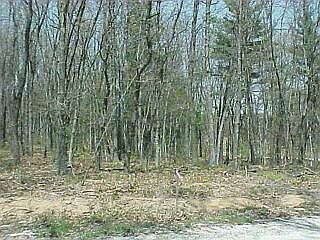 1st image of Cedar Hills Ln