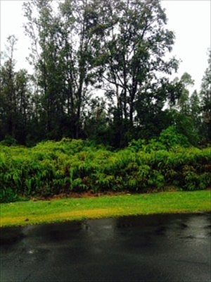 1st image of Anae St Lot 710