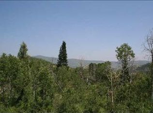 8707 Parleys Ln, Park City, UT 84098