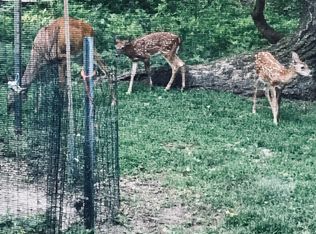 80 Harrowgate Dr, Cherry Hill, NJ 08003