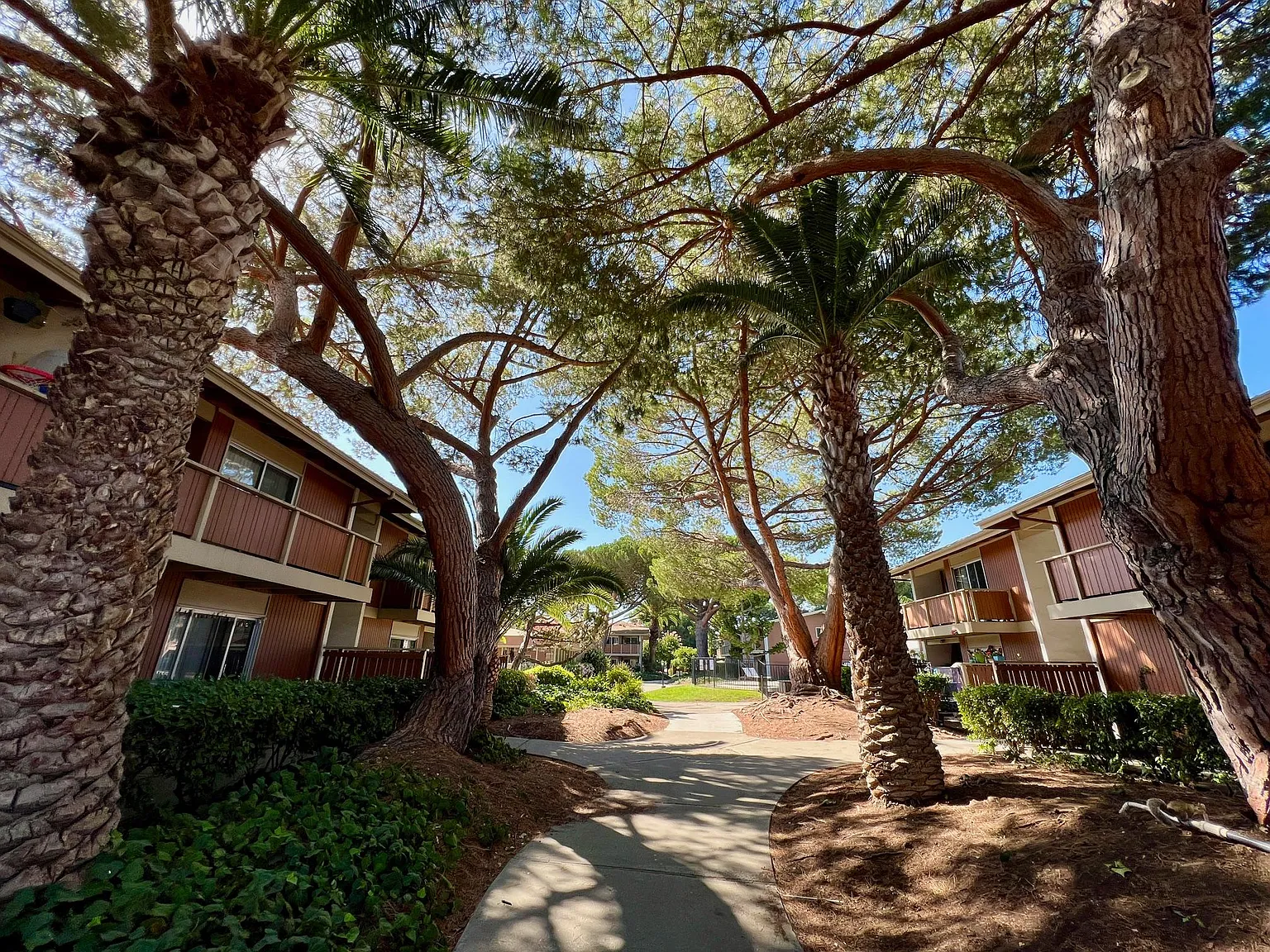 Oakridge Apartments — Photo 3