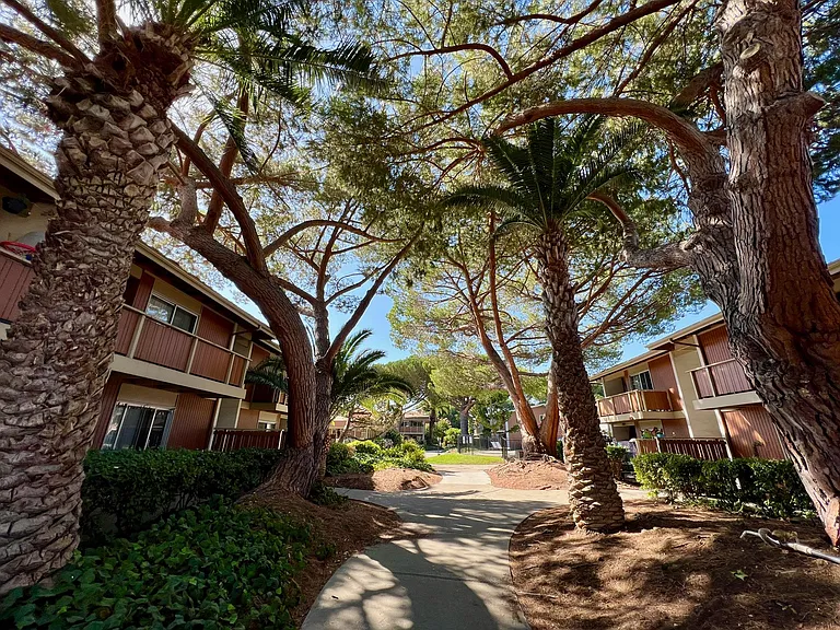 Oakridge Apartments — Photo 3