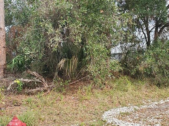 5th image of 1009 SW CASTANEDA LANE LOT 12