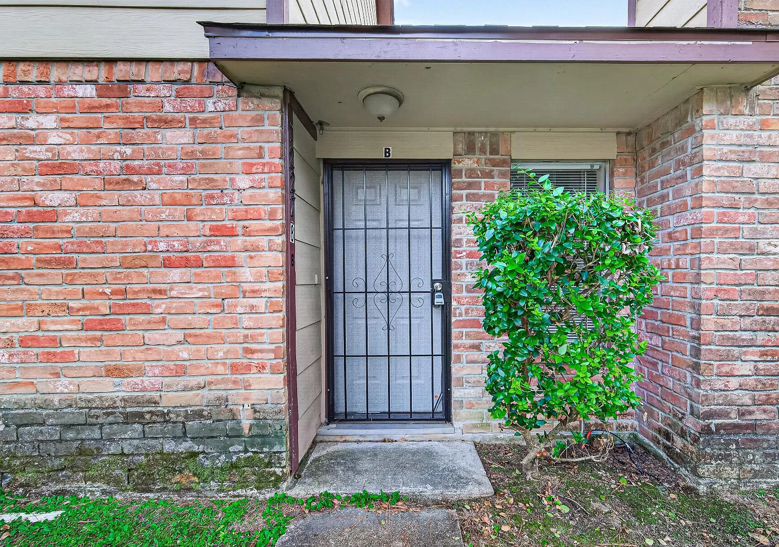 12278 Wild Pine Dr - B — Photo 4