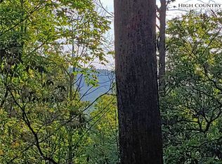 Tbd Big Ivy Rd, Purlear, NC 28665