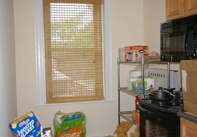 12 Ransom Rd #6 — Photo 8