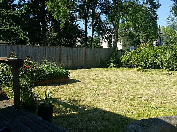 Raised beds with strawberry
