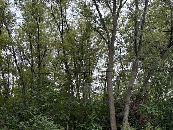 5th image of 0 Lauerman Rd