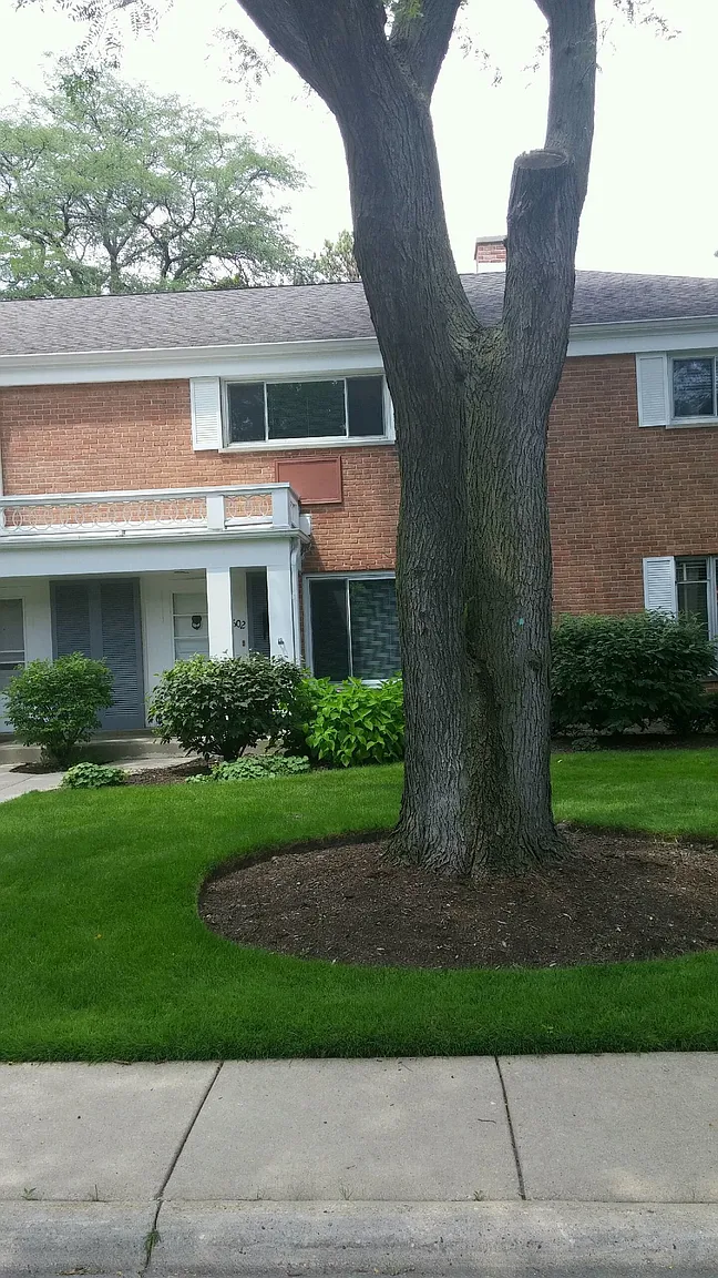 1602 Palmgren Dr photo 1